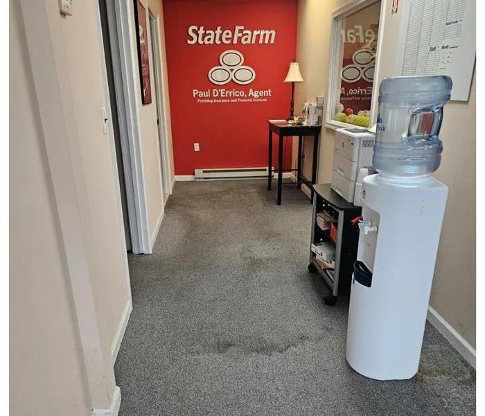 Dirty Carpet in State Farm Office
